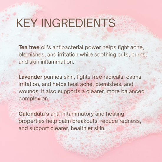 Acne Foaming Cleanser Key Ingredients | Taylor Made Organics