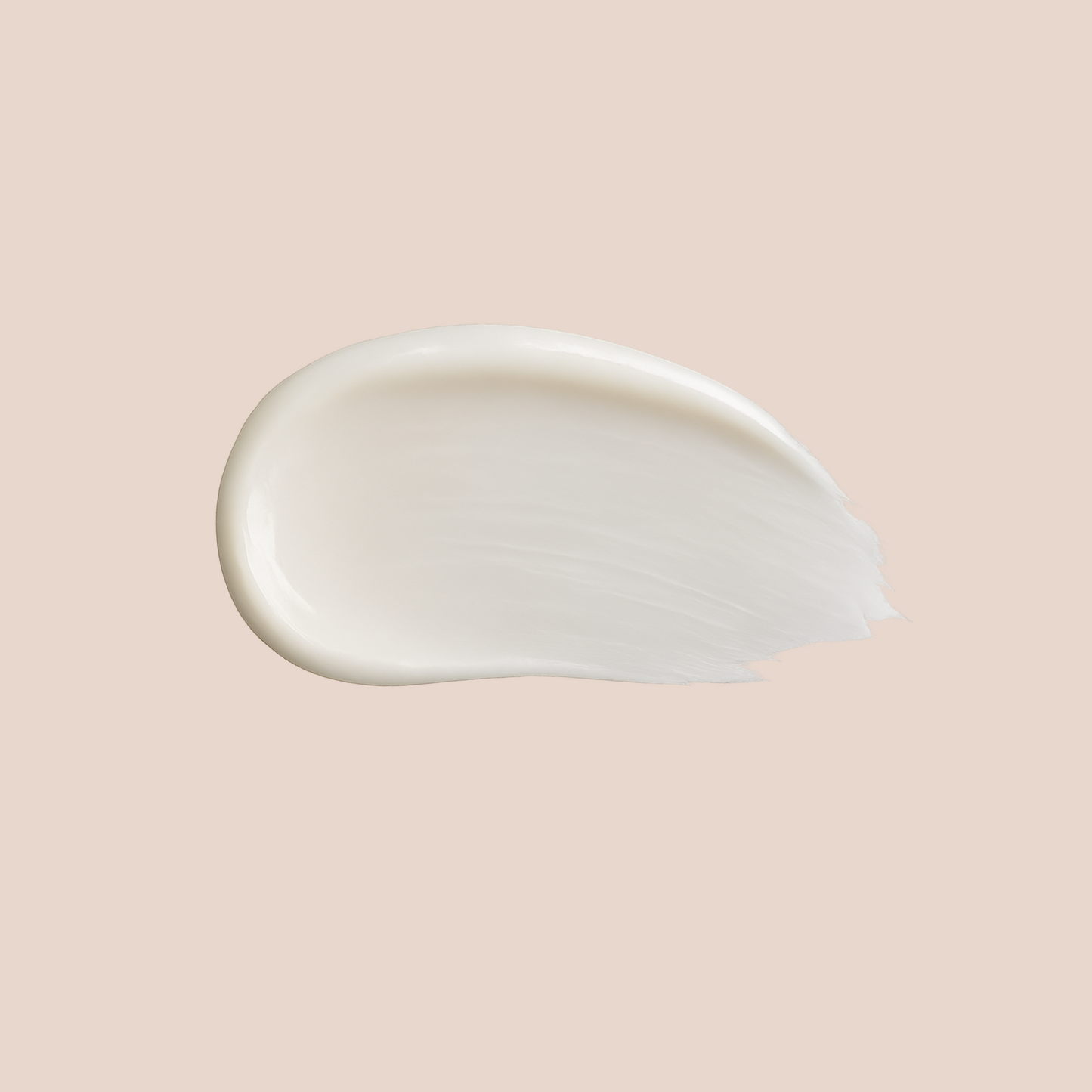 Primer | organic