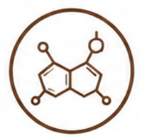 Phthalate-Free