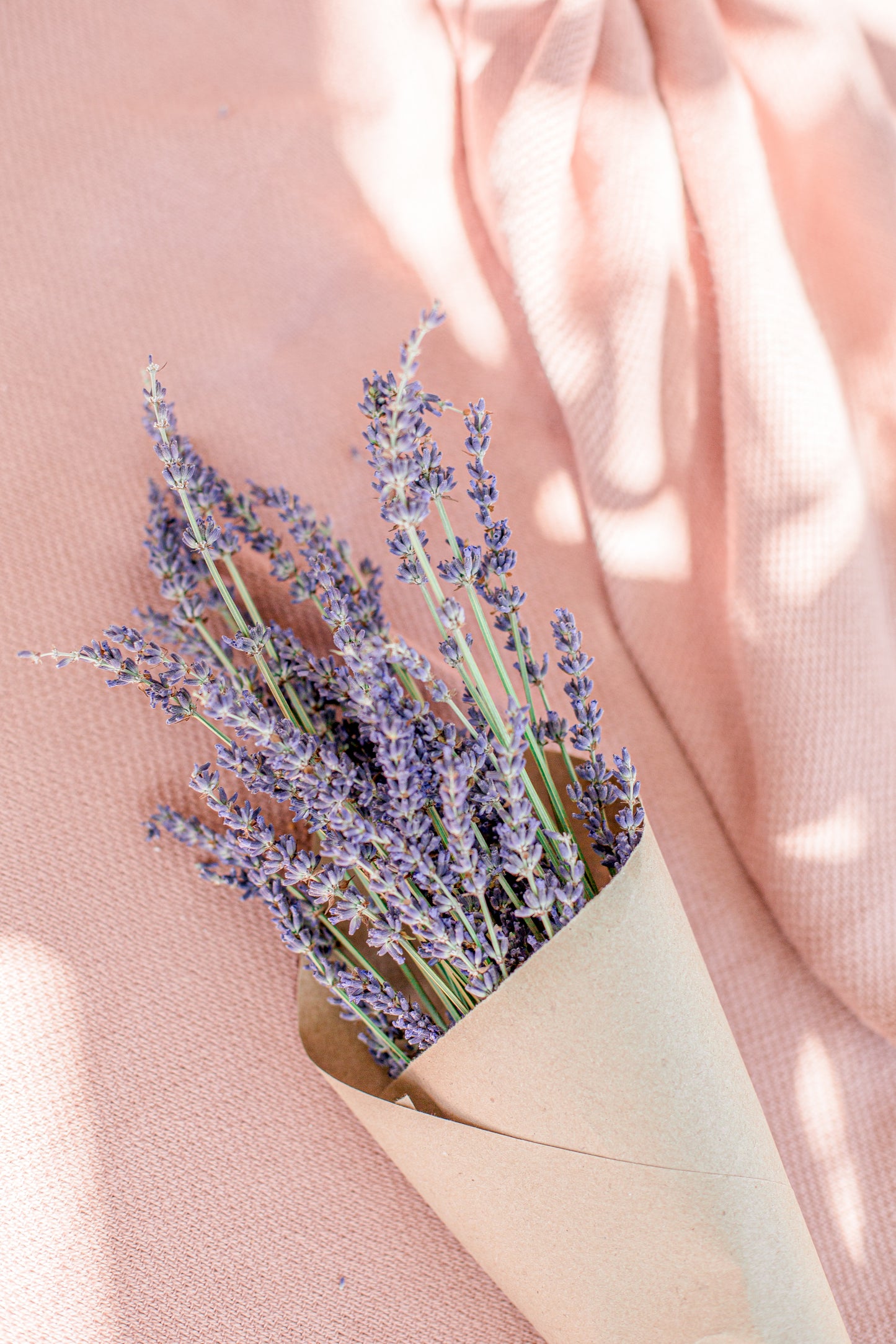 lavender | taylor made organics